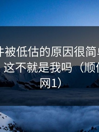 91大事件被低估的原因很简单：越看越心虚：这不就是我吗（顺便对比91网1）