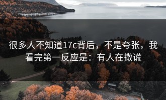 很多人不知道17c背后，不是夸张，我看完第一反应是：有人在撒谎