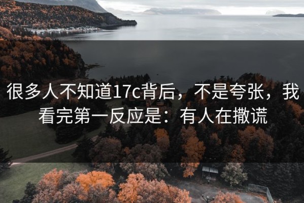 很多人不知道17c背后，不是夸张，我看完第一反应是：有人在撒谎
