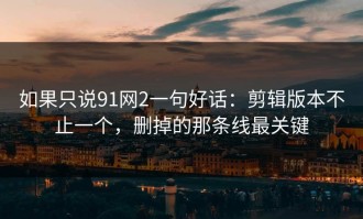 如果只说91网2一句好话：剪辑版本不止一个，删掉的那条线最关键
