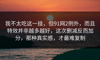 我不太吃这一挂，但91网2例外，而且特效并非越多越好，这次删减反而加分，那种真实感，才最难复制
