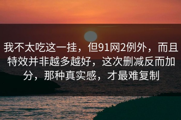 我不太吃这一挂，但91网2例外，而且特效并非越多越好，这次删减反而加分，那种真实感，才最难复制