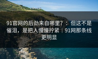 91官网的后劲来自哪里？：但这不是催泪，是把人慢慢拧紧｜91网那条线更明显