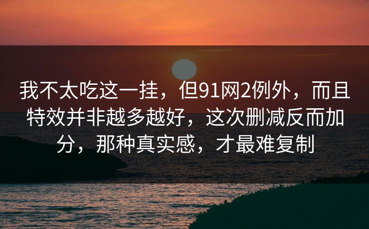 我不太吃这一挂，但91网2例外，而且特效并非越多越好，这次删减反而加分，那种真实感，才最难复制