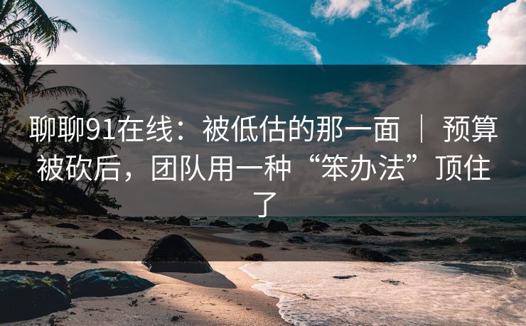 聊聊91在线：被低估的那一面 ｜ 预算被砍后，团队用一种“笨办法”顶住了