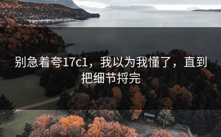 别急着夸17c1,我以为我懂了,直到把细节捋完 别急着夸17c1,我以为我懂了,直到把细节捋完