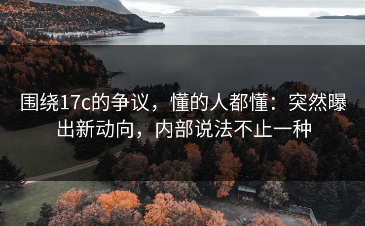 围绕17c的争议,懂的人都懂:突然曝出新动向,内部说法不止一种 围绕17c的争议,懂的人都懂:突然曝出新动向,内部说法不止一种