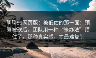 聊聊91网页版：被低估的那一面：预算被砍后，团队用一种“笨办法”顶住了，那种真实感，才最难复制
