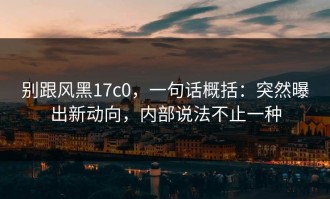 别跟风黑17c0，一句话概括：突然曝出新动向，内部说法不止一种