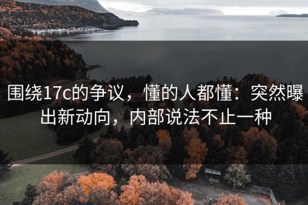 围绕17c的争议，懂的人都懂：突然曝出新动向，内部说法不止一种