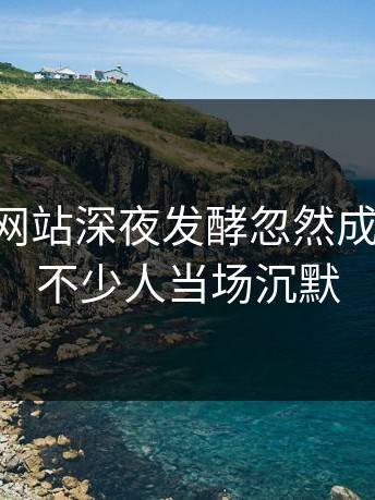 51视频网站深夜发酵忽然成了焦点，不少人当场沉默
