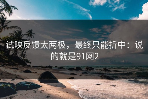 试映反馈太两极，最终只能折中：说的就是91网2