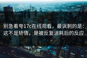 别急着夸17c在线观看，最讽刺的是：这不是矫情，是被反复消耗后的反应