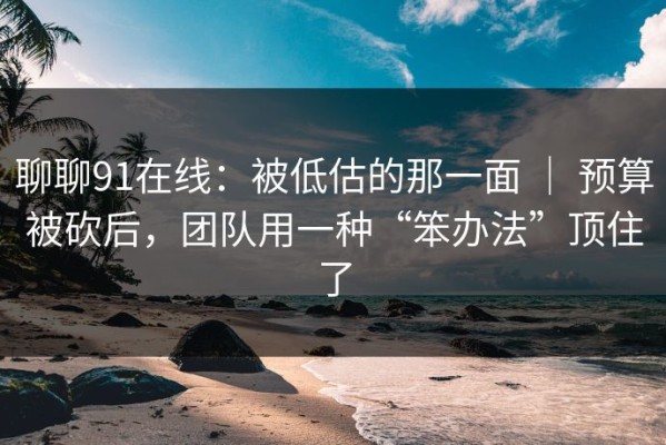 聊聊91在线：被低估的那一面 ｜ 预算被砍后，团队用一种“笨办法”顶住了