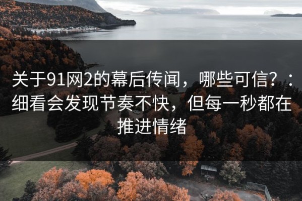 关于91网2的幕后传闻，哪些可信？：细看会发现节奏不快，但每一秒都在推进情绪
