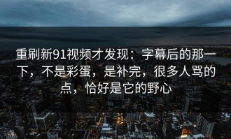 重刷新91视频才发现：字幕后的那一下，不是彩蛋，是补完，很多人骂的点，恰好是它的野心