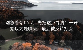 别急着夸17c2，先把这点弄清：一开始以为是噱头，最后被反转打脸