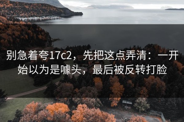 别急着夸17c2，先把这点弄清：一开始以为是噱头，最后被反转打脸