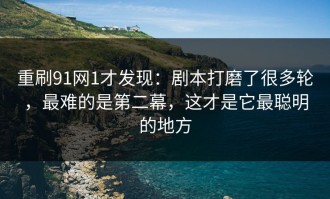 重刷91网1才发现：剧本打磨了很多轮，最难的是第二幕，这才是它最聪明的地方