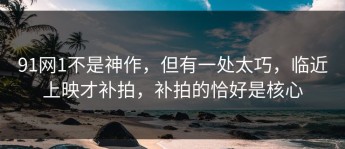 91网1不是神作，但有一处太巧，临近上映才补拍，补拍的恰好是核心