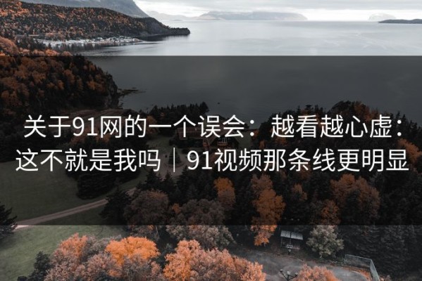 关于91网的一个误会：越看越心虚：这不就是我吗｜91视频那条线更明显