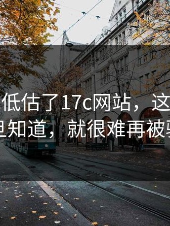 我承认我低估了17c网站，这条细节一旦知道，就很难再被骗