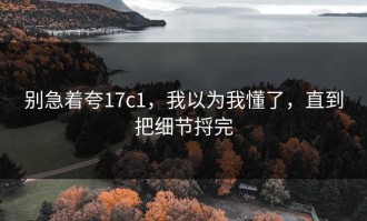 别急着夸17c1，我以为我懂了，直到把细节捋完