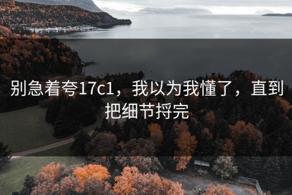 别急着夸17c1，我以为我懂了，直到把细节捋完