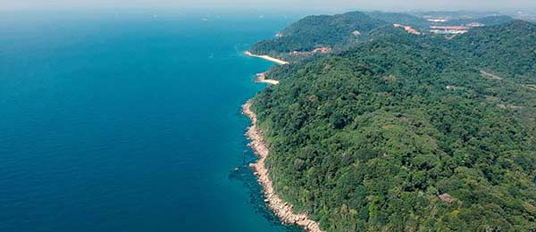 17c2又被提起了：圈内人一句话点破：其实早就埋了伏笔