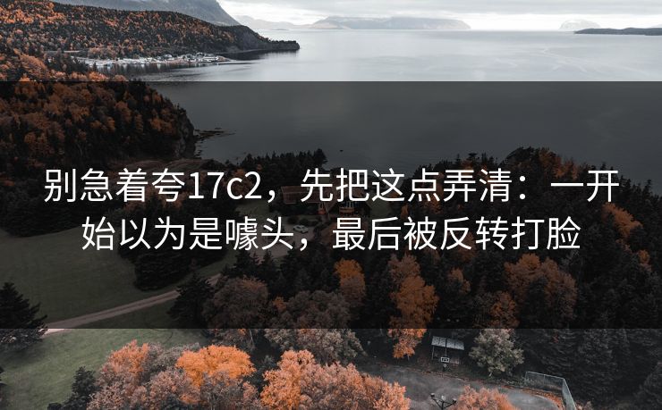 别急着夸17c2，先把这点弄清：一开始以为是噱头，最后被反转打脸