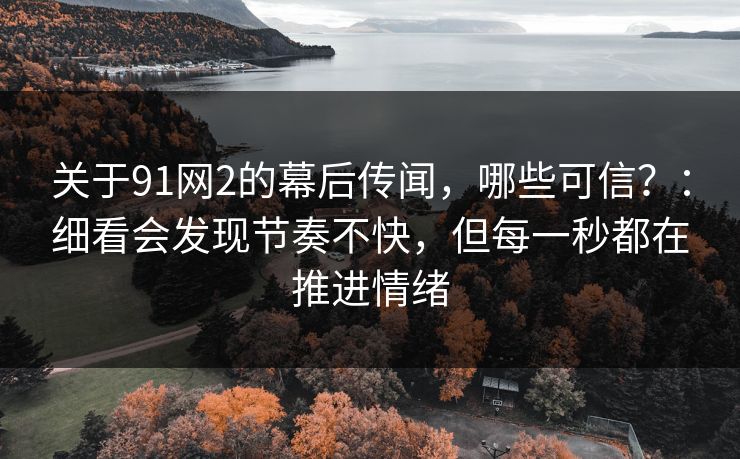 关于91网2的幕后传闻,哪些可信?:细看会发现节奏不快,但每一秒都在推进情绪 关于91网2的幕后传闻,哪些可信?:细看会发现节奏不快,但每一秒都在推进情绪