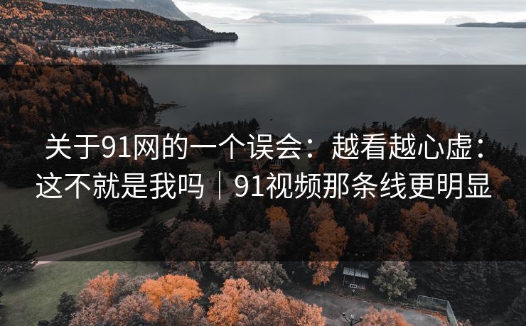 关于91网的一个误会：越看越心虚：这不就是我吗｜91视频那条线更明显