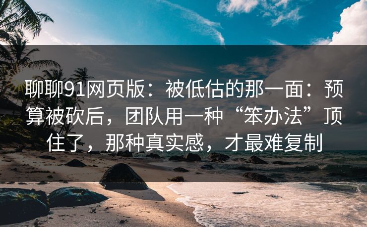 聊聊91网页版：被低估的那一面：预算被砍后，团队用一种“笨办法”顶住了，那种真实感，才最难复制