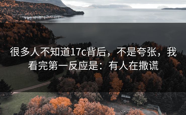 很多人不知道17c背后，不是夸张，我看完第一反应是：有人在撒谎